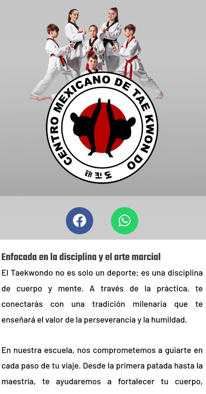 Mini Sitio Web